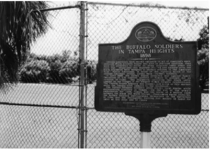 FiGURe 4. Buffalo soldier historical marker, tampa Heights. the survey area is within the tree line in the background