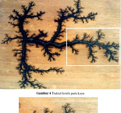 Gambar 4 Fraktal listrik pada kayu 