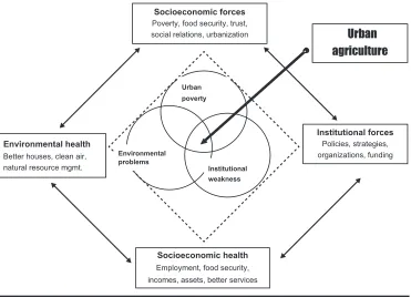 Figure 1. Venn-prism conceptual framework.