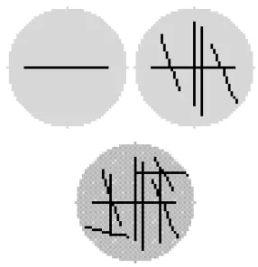 Figure 5.This in the typical road growing dynamics for highThe evolution of a road network from an urbanized area of diameter 49 lattice sites initially withoutany main roads