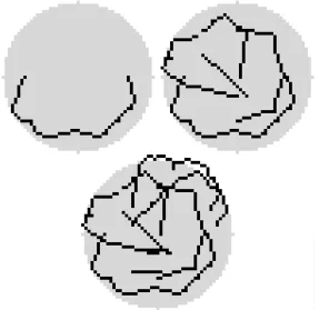 Figure 6.approaches unity. Compare with the small belts in ﬁgure 4. As for the smaller lattice not all belt-ways connect asthe potential (The evolution of a road network from an urbanized area of diameter 49 lattice sites initially withoutany main roads