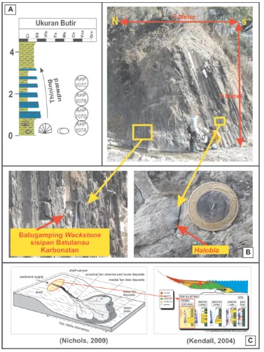 Gambar 8 (A) Penampang stratigrafi Formasi Aitutu di daerah Kekneno, menunjukkan litologi batugamping wackstone yang menipis ke atas (thinning upward), (B) Foto singkapan yang menunjukkan litologi dan makrofosil, (C) Model lingkungan pengendapan dari Fasies outer shelf to upper slope deposit (Lokasi: 12 AHP 107 di Sungai Besi, Nenas)