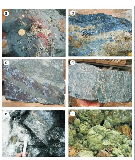 Figure 3. Different types of skarn and ores at Ruwai. a. Magnetite skarn with Cu sulfides