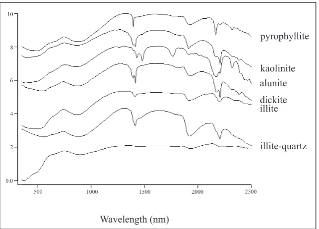 Figure 9. Location map  of surface and drill hole samples and results of ASD alteration identification.