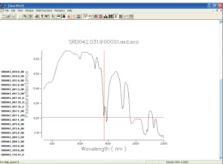 Figure 4. Spectral curve generated for analysis using the SpecWin software.