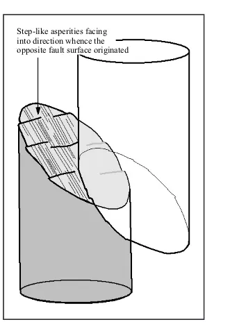 Figure 1. A sheared  test core of Wombeyan marble was found by Paterson (1958) to have developed step-like asperi-ties across the fault direction with risers facing into the point of origin of the adjoining fault surface as to hamper slippage