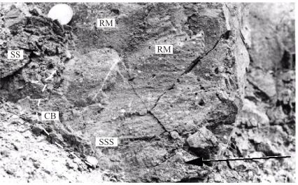 Figure 10. Neogene volcaniclastic sediment, Toyama, JapanRM fault roche moutonnee (elongated);  BS  bruised step; SS   stoss spall; SSS smoothed stoss surface;  CB crescentic bruised step