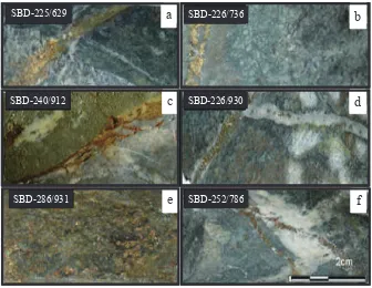 Figure 3. Photograph showing the typical features of skarn: (a) banded nature of pyroxene and garnet, (b) quartz vein across cutting the pyroxene abundance skarn, (c) quartz calcite vein which includes ore mineraliza-tion cross cutting the garnet abundance skarn with some epidote, (d) quartz/calcite  and  magnetite  veinlets  cut  across the coarse-grained garnet and pyroxene skarn, (e) the contact nature of intermediate tonalite and skarn, and (f) massive nature of garnet cross cut by quartz vein near brecciated zone.