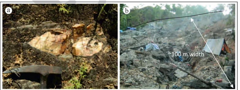 Figure 3. Photographs of quartz veins. (a) The first quartz vein type with typical sigmoidal structure, and (b) Second quartz vein in Gunung Botak associated with mineralization-argillic alteration zone (~100 m width and ~1,000 m length)