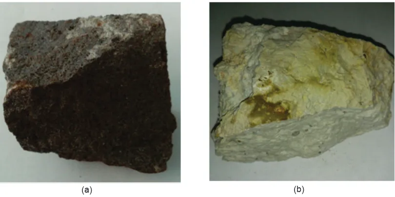 Figure 1. Basalt  as one of mafic rocks that rich in micro nutrients but less in potassium  (a) and a felsic rock (rhyo-lite), rich in silica (either quartz or feldspar) but poor in micro nutrients (Wahyudi et al., 2012)