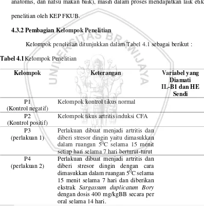 Tabel 4.1Kelompok Penelitian 