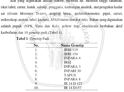 Tabel 1. Genotip Padi 