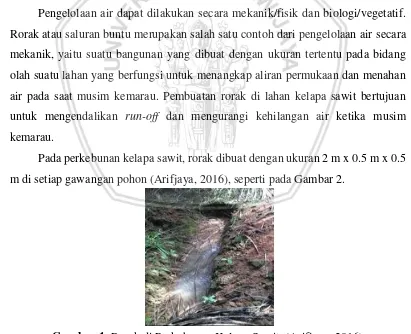 Gambar 1. Rorak di Perkebunan Kelapa Sawit. (Arifjaya, 2016) 