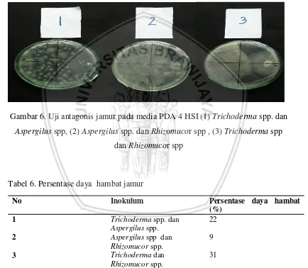 Gambar 6. Uji antagonis jamur pada media PDA 4 HSI (1) Trichoderma spp. dan 