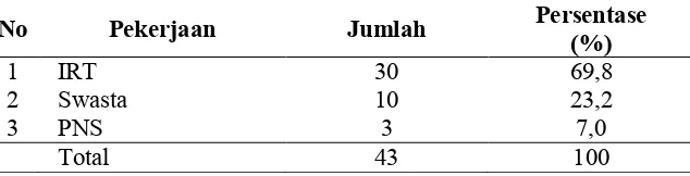 Tabel 4.3. Karakteristik responden berdasarkan pekerjaan 