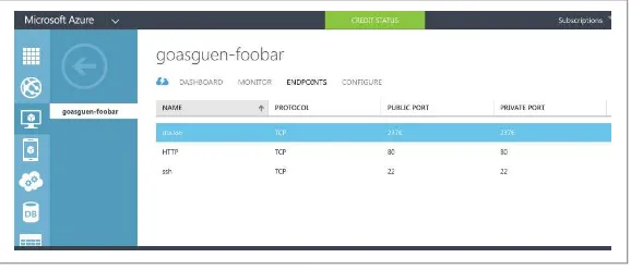 Figure 1-7. Azure endpoint for a virtual machine
