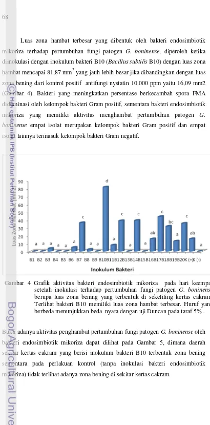 Gambar 4 Grafik aktivitas bakteri endosimbiotik mikoriza  pada hari keempat 