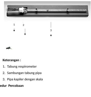 Gambar :