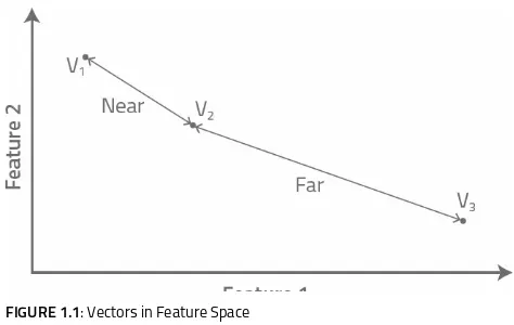 FIGURE 1.1: Vectors in Feature Space