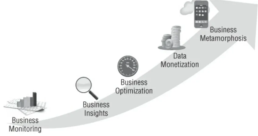 Figure 1.1 Big Data Business Model Maturity Index