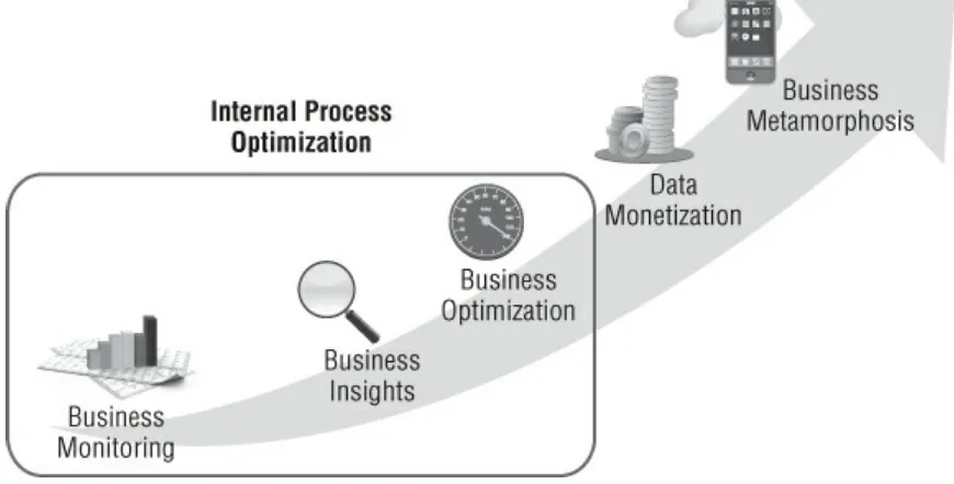 Figure 1.2 Big Data Business Model Maturity Index: Internal Process Optimization