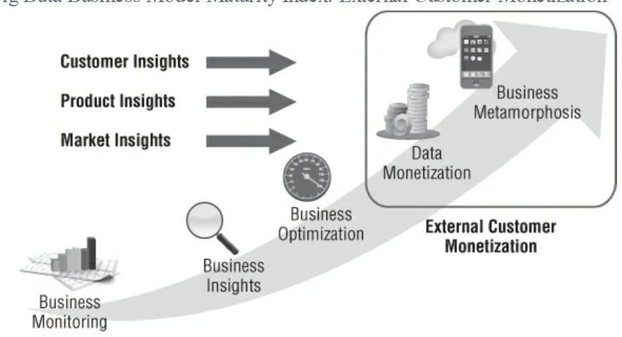 Figure 1.3 Big Data Business Model Maturity Index: External Customer Monetization