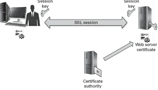 FIGURE 4.6    SSL encryption between client and web server