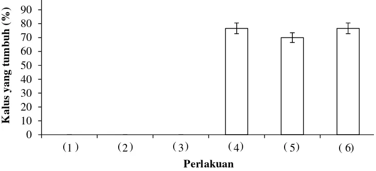 Gambar 1 Pengaruh perlakuan zat pengatur tumbuh terhadap induksi kalus: (1) picloram 1 mg L-1; (2) picloram 3 mg L-1; (3)  picloram 5      mg L-1; (4) picloram 1 mg L-1 + BA 0.5 mg L-1; (5) picloram 3 mg L-1 + BA 0.5 mg L-1; (6) picloram 5 mg L-1 + BA 0.5 mg L-1     