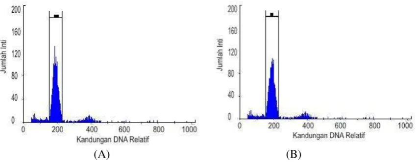 Gambar 5 Hasil analisis tingkat ploidi sel-sel kalus dan daun kedelai dengan alat    flowcytometer: (A) tingkat ploidi dari sel-sel daun kedelai varietas Wilis (kontrol)  adalah diploid;  (B)  tingkat ploidi sel-sel dari kalus yang diuji adalah diploid 