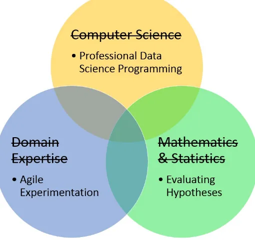Figure 3-1. A more pragmatic view of the required data science skills
