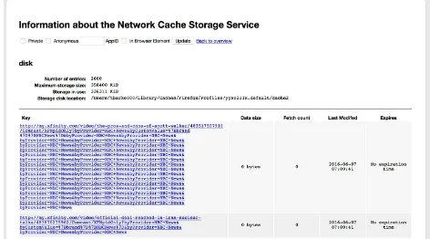 Figure 1-4. Disk cache in Firefox’s about:cache screen