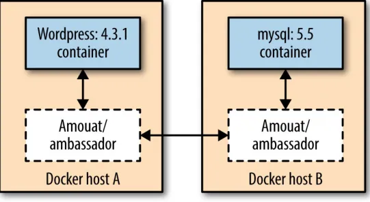 Figure 5-3. Fully configured Docker linking using the Ambassador pattern