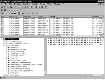 Figure 2.2The Analyzer Capture document window.
