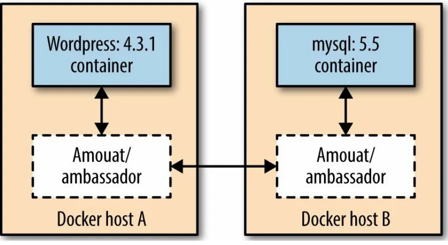 Figure 5-3. Fully configured Docker linking using the Ambassador pattern