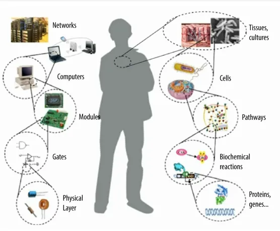 Figure 1-7. The human network