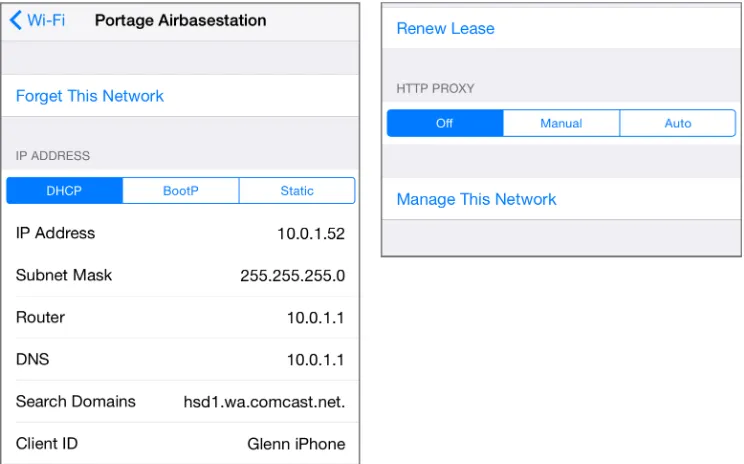 Figure 2: You can view or set network connection values. (Top of view at left; bottom  at right.)
