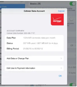 Figure 27: A Wi-Fi + Cellular iPad only shows information via Settings > Cellular  Data > View Account, and only for the current billing plan period.
