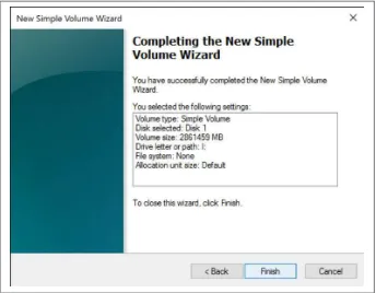 Figure 2-10. Summary screen of the New Simple Volume Wizard.