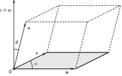 Fig. 1.8 The area of the parallelogramm with edges v and w