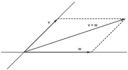 Fig. 2.1 The vector line L(v + w) with respect to the vector lines L(v) and L(w)
