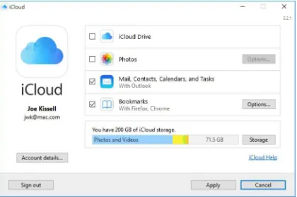 Figure 4: The iCloud app is now ready for your selections.      