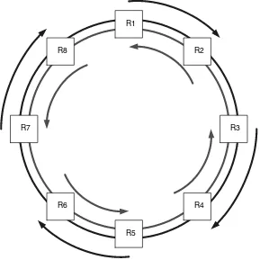 Figure 2.2Intact SRP dual counter rotating rings