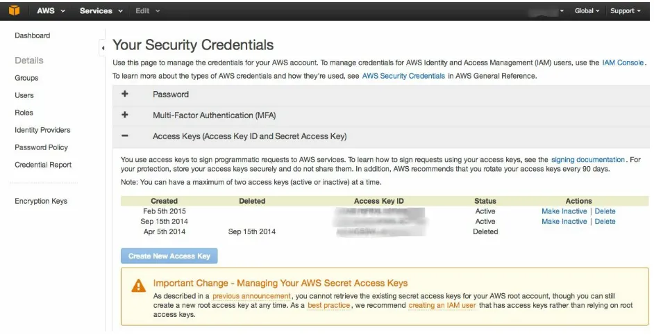 Figure 1-2. AWS Security Credentials page