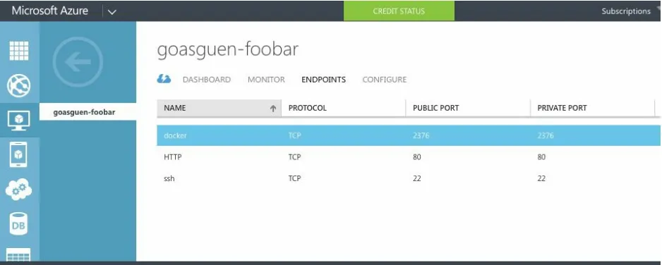 Figure 1-7. Azure endpoint for a virtual machine