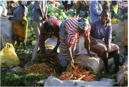 Figure 2-2. An entrepreneurial woman farmer engaged in a thriving microbusiness in Kisumu, the largest marketplace inWestern Kenya (photo courtesy of Wendy Stone/Getty Images; used with permission)