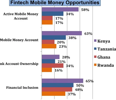 Figure 2-1. Fintech mobile money opportunities in four African countries. (rendered by Cornelia Lévy-Bencheton; source:http://bit.ly/2cpTKgn, page 4)