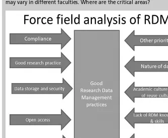 Figure 5.1 Force field analysis of RDM