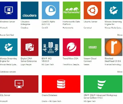 Figure 1-1. A small sample of the Azure Virtual Machinesgallery