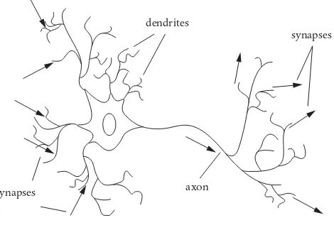 FIGURE 3 Neuron: dendrites, axon, and synapses