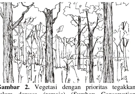 Gambar 1. Vegetasi dengan prioritas tegakkan muda (Sumber: Conservation Commission of the State of Missouri 2003) 